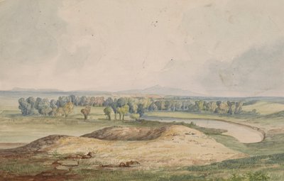 Süt Nehri - Ayı by John Mix Stanley