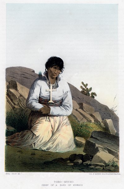 Toro-Mucho, Kioways grubunun şefi, 1856. by John Mix Stanley