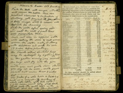 Morton, Illinois, 1830-86