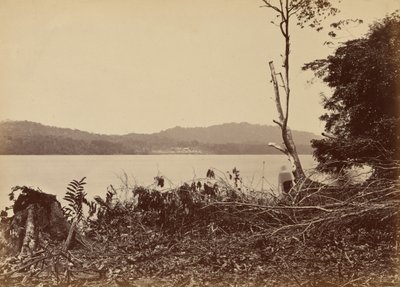 Darien Limanı, Chipigana,1871 (fotoğraf) by John Moran