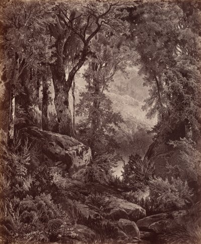 Yalnızlık,1865 (fotoğraf) by John Moran