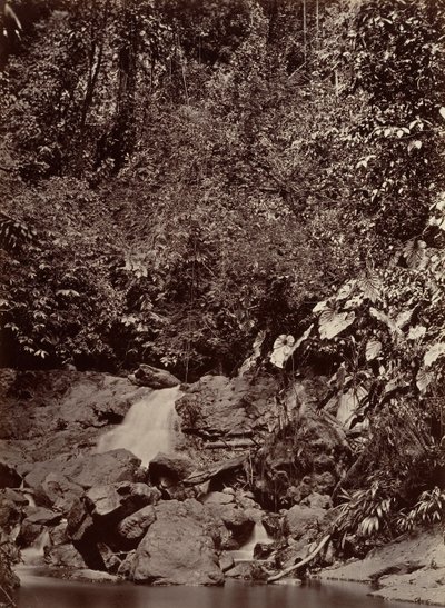 Tropikal Manzara, Çağlayan, Limon Nehri, 1871. by John Moran