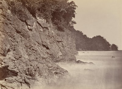 Tropikal Manzara, Uçurum - Limon Koyu, 1871. by John Moran