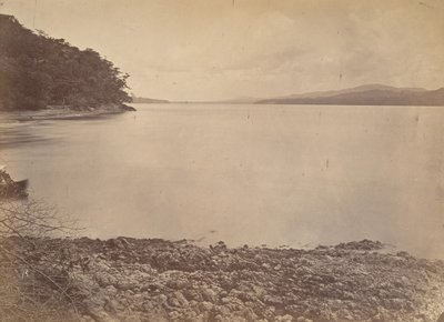 Tropikal Manzara, Darien Limanı - Güneye Bakış, 1871. by John Moran