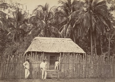 Tropikal Manzara, Yerli Kulübe, Turbo, 1871. by John Moran