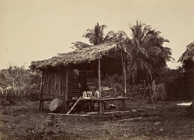 Tropikal Manzara, Yerli Kulübe, Turbo, 1871. by John Moran