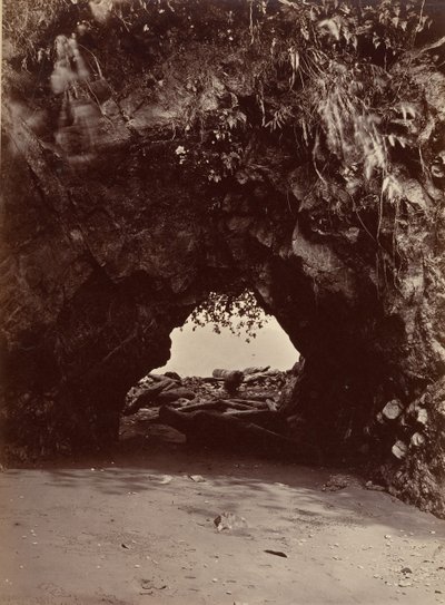 Tropikal Manzara, Doğal Kemer, Cupica Bay, 1871. by John Moran
