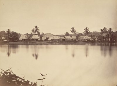 Tropikal Manzara, Santa Maria del Real, Darien, 1871. by John Moran