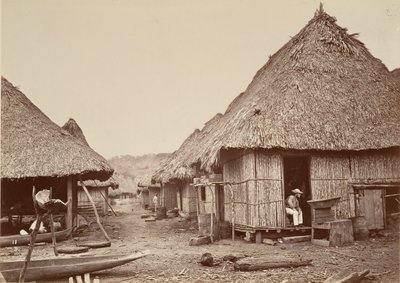 Tropikal Manzara, Sokak, Chipigana, 1871. by John Moran