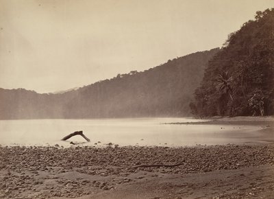 Tropikal Manzara, Önerilen Kanalın Sonu, Limon Koyu, 1871. by John Moran
