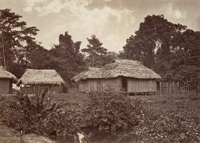 Tropikal Manzara, Turbo Köyü, 1871. by John Moran