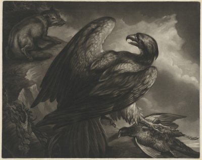 kartal ve tilki by John Murphy after James Northcote