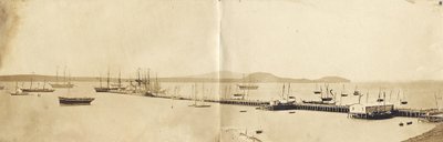 Auckland Limanı, 1865 (albüm baskısı) by John Nicol Crombie