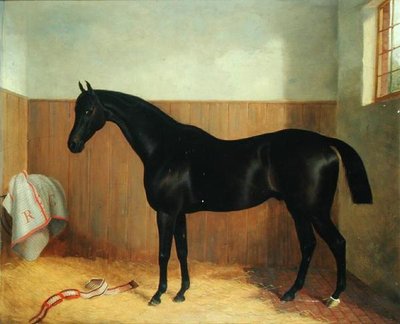 Tommy, Bir Atın Portresi, 1870