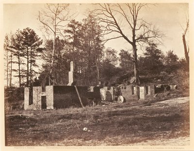 Gardner