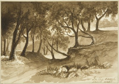 Burwalls Kampında Görüntüle, Leigh Woods by John Reverend Eden