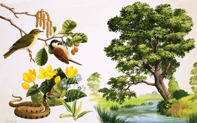 Kızılağaç ve çevresinde bulabilecekleriniz by John Rignall