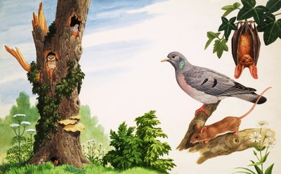 Ölü Ağaç by John Rignall