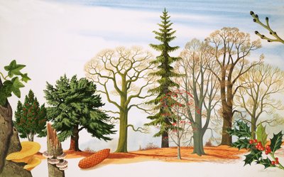 Kışın Ağaçlar by John Rignall