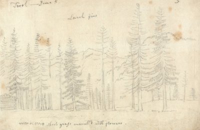  by John Robert Cozens