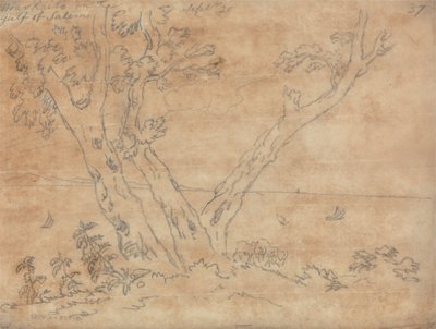  by John Robert Cozens