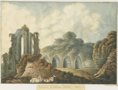 Croxden Manastırı: sulu boya tablosu by John Robert Fernyhough