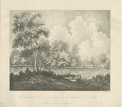 Lichfield Katedrali - Batı Güney Batı görünümü (uzaktan): karakalem by John Robert Fernyhough