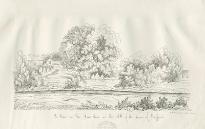 Stafford - Nehir Sow: kalem ve mürekkeple çizim by John Robert Fernyhough