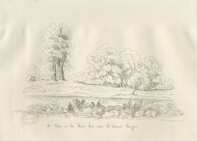 Stafford - Nehir Sow: kalem ve mürekkeple çizim by John Robert Fernyhough