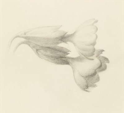 Cowslip Bells, muhtemelen 1871. by John Ruskin