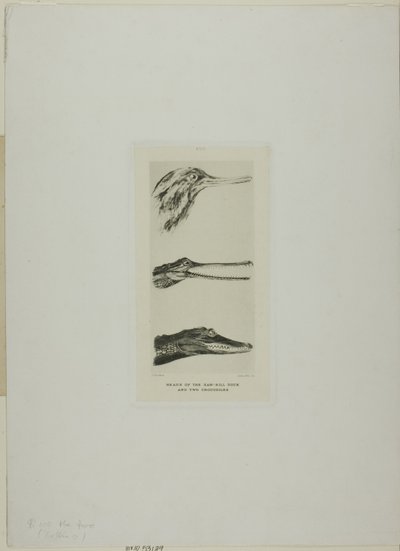  by John Ruskin
