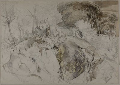 Kayalık Peyzajda Çalılar ve Ağaçlar by John Ruskin