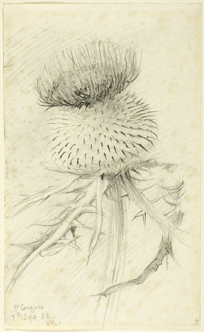 Aziz Cergues by John Ruskin