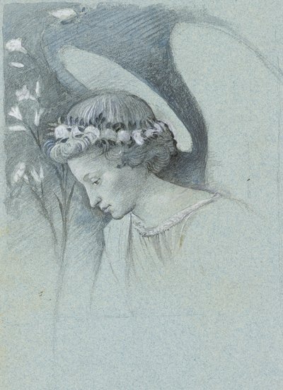 Filippo Lippi