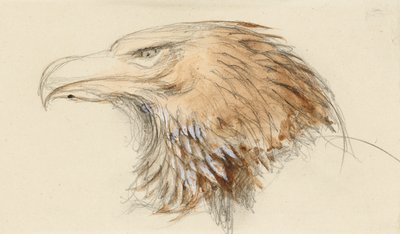 Ortak bir Altın Kartal Başkanı, Life