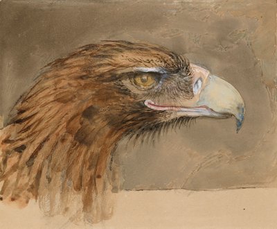 Ortak bir Altın Kartal Başkanı, Life