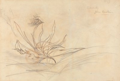 Bir Nehrin Kayalık Bankası by John Ruskin
