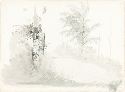 Ağaç Çalışması by John Ruskin