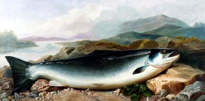 Dağlık Bir Peyzajda Nehir Kıyısında Bir Somon Natürmort by John Russell