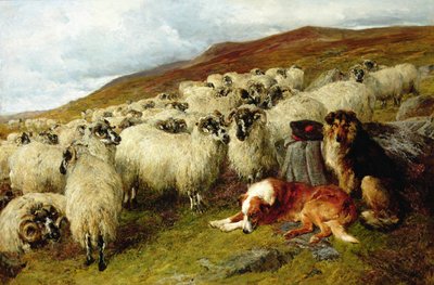 Yorgun ama Dikkatli by John Sargent Noble
