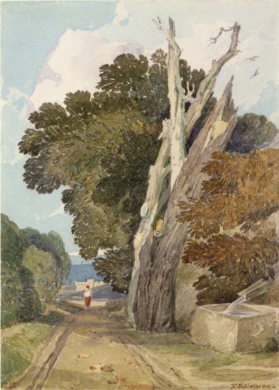 Şimşek Çarpan İspanyol Kestanesi Ağacı (kağıt üzerinde wc & kalem) by John Sell Cotman