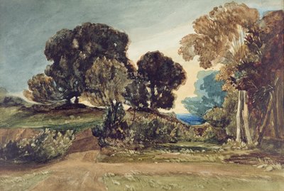 A Wooded Park (kağıt üzerine sulu boya) by John Sell Cotman