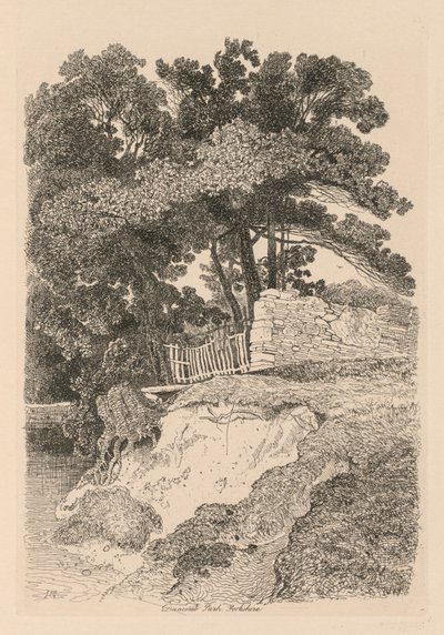 Liber Studiorum: Levha 13, Duncomb Park, Yorkshire: No. 5, 1838. by John Sell Cotman