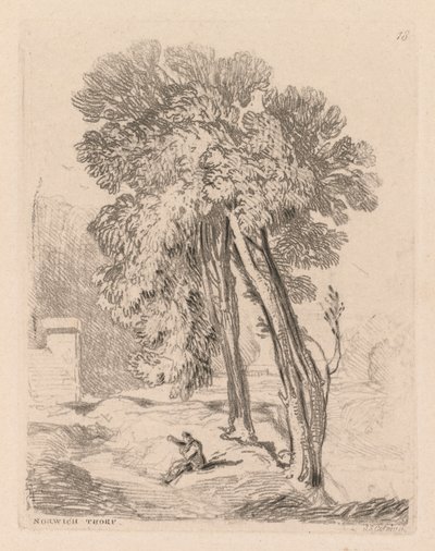 Çalışma Kitabı: Levha 18, Norwich Thorp, Norfolk'taki Ağaçlar by John Sell Cotman