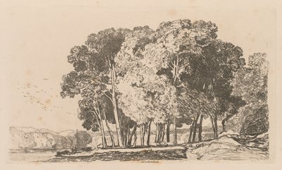 Liber Studiorum: Levha 3, Twickenham yakınlarındaki Ağaçlar, 1838. by John Sell Cotman