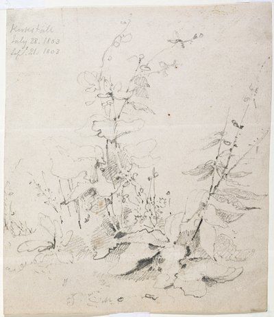 Yabani Otların Çalışması, Kirkstall by John Sell Cotman