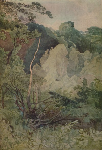 Greta Nehri Yakınındaki Ağaçlar, 1923 by John Sell Cotman