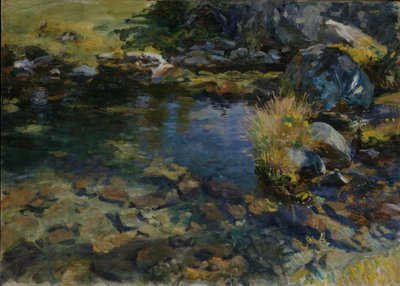 Alp Havuzu, 1907 by John Singer Sargent