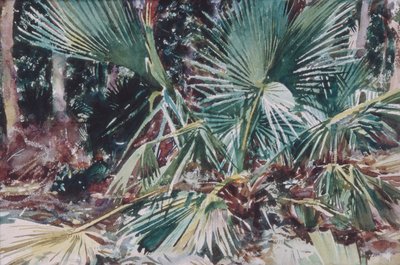 Palmettos, 1917 (beyaz dokuma kağıt üzerine tuvalet, grafit ve mum boya) by John Singer Sargent