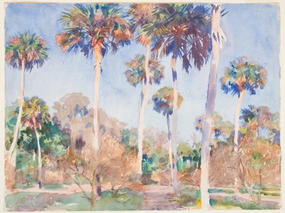 Palms, 1917 (kağıt üzerinde grafit üzerinde wc) by John Singer Sargent